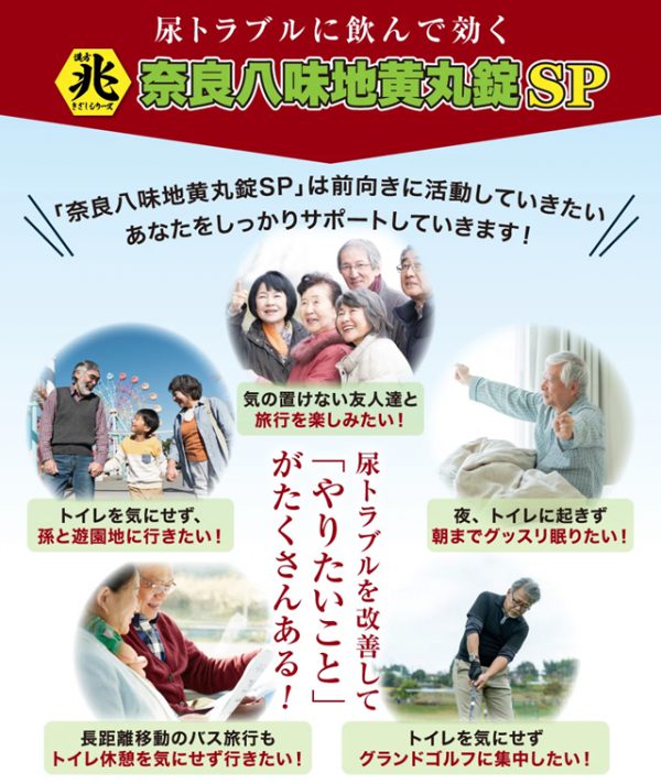 奈良八味地黄丸錠SP